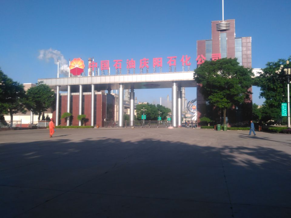 甘肅轉(zhuǎn)子泵污泥泵廠(chǎng)家